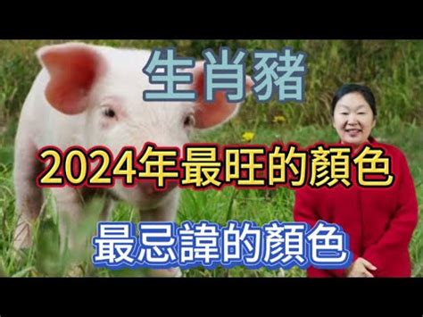 豬的幸運色|【2024屬豬幸運色】2024年屬豬者的幸運色與運勢攻略！點亮幸。